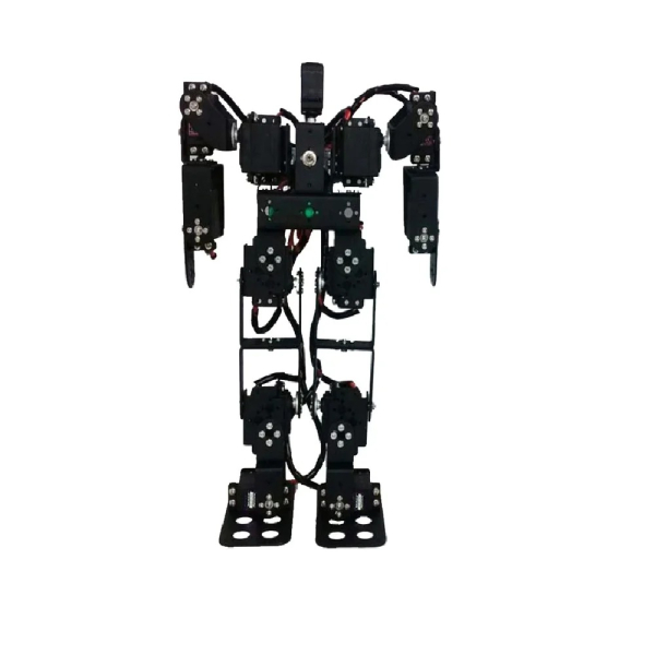 Digital 13 DOF bipedal Humanoid DIY Robot