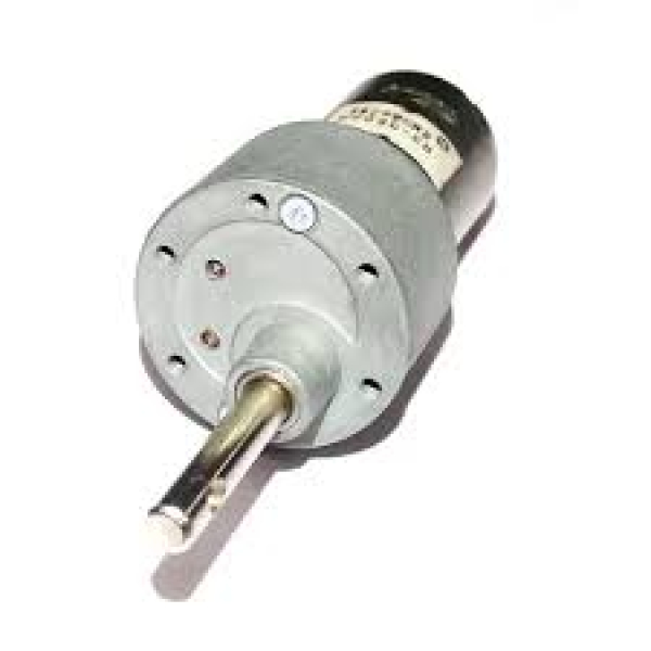 10 Rpm Ss Johnson Dc Gear Motor -side Shaft