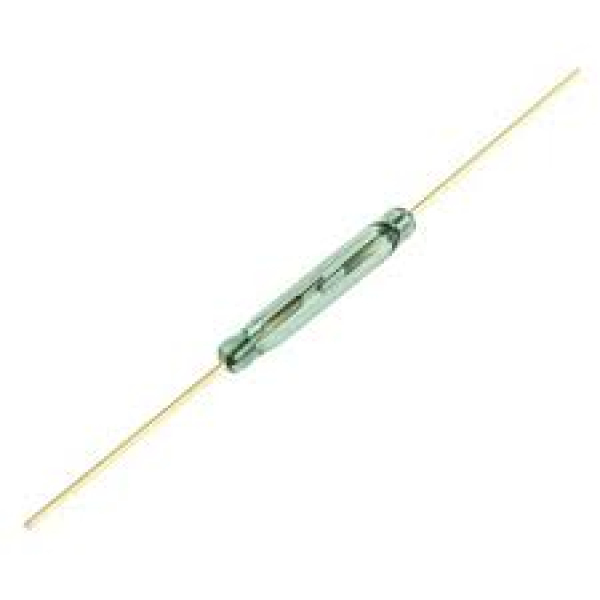Magnetic Reed Switch